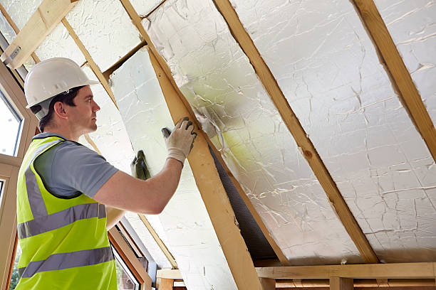 Best Residential Insulation in Murray, KY